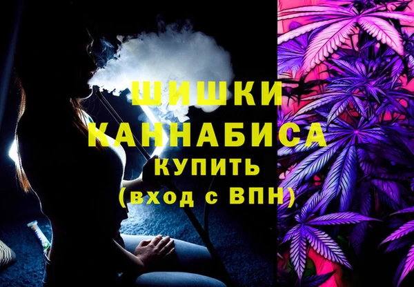 прущий лед Вяземский