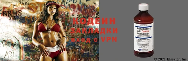 прущий лед Вяземский