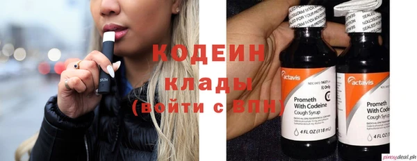 прущий лед Вяземский