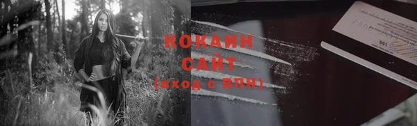 ГАЛЛЮЦИНОГЕННЫЕ ГРИБЫ Вязники