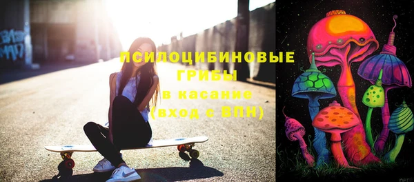 прущий лед Вяземский