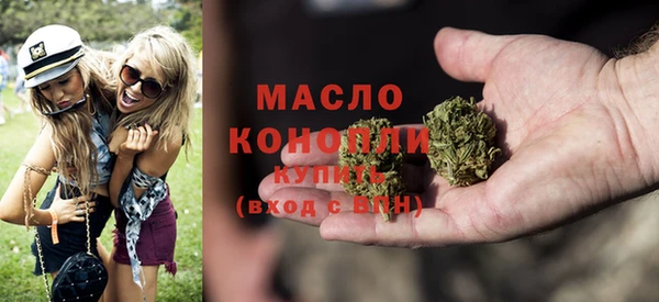 прущий лед Вяземский