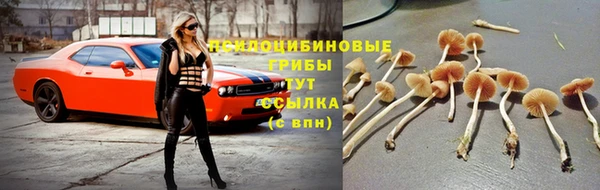 прущий лед Вяземский