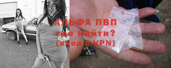 ГАЛЛЮЦИНОГЕННЫЕ ГРИБЫ Вязники